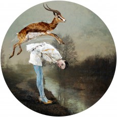 Sait Mingu _Gazelle